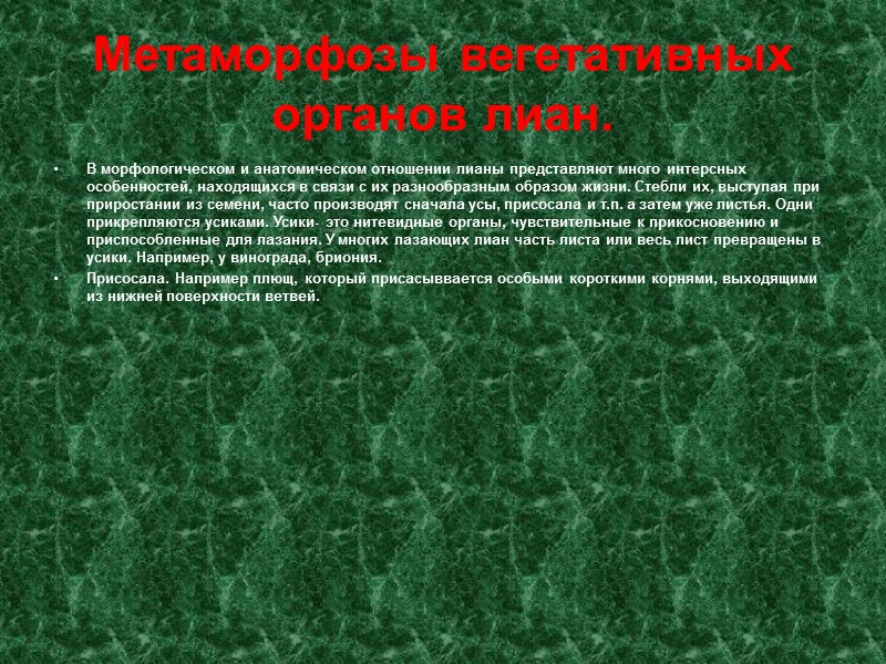 Метаморфозы вегетативных органов лиан. В морфологическом и анатомическом отношении лианы представляют много интерсных особенностей,